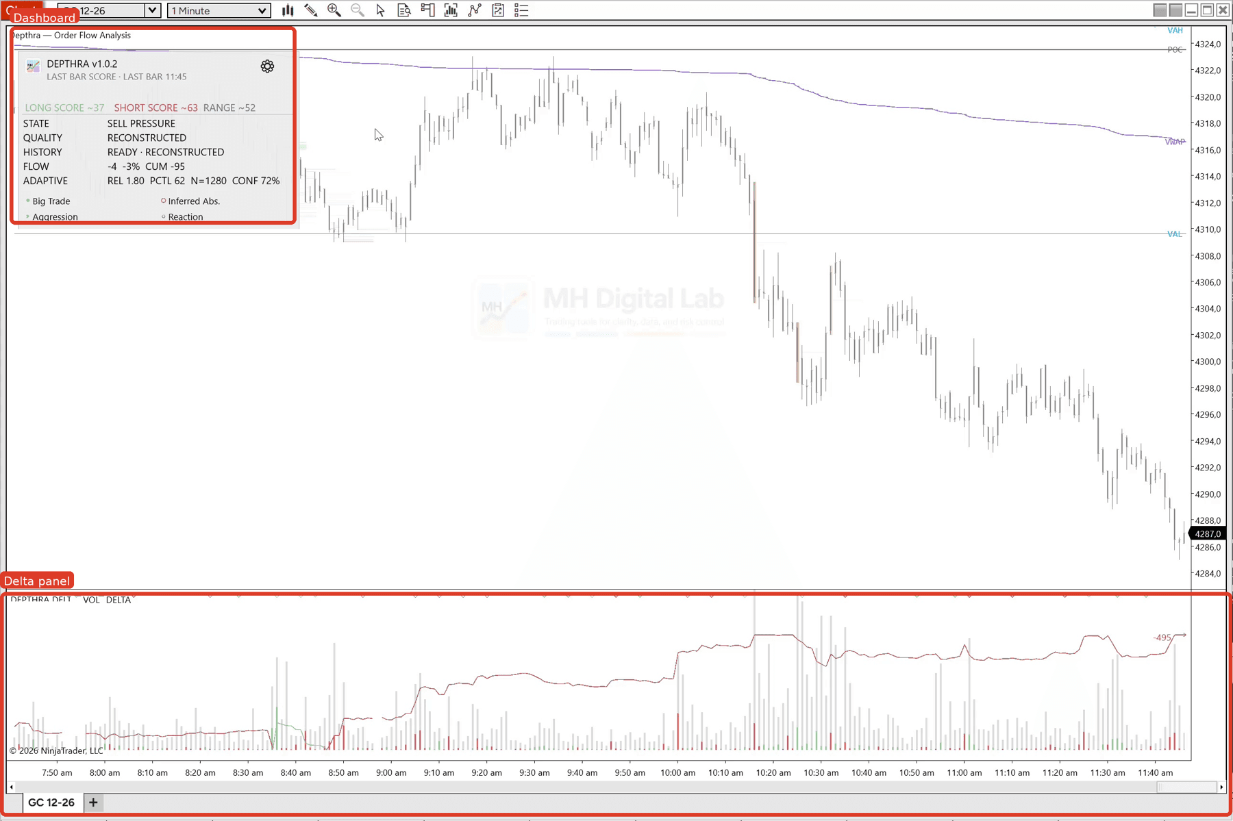 Depthra NinjaTrader order-flow overview
